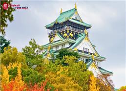 [HCM] Tour Nhật Bản Thiết Kế 6N5Đ: Hành Trình Vàng Mùa Thu 2025